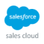 Salesforce AI Agent